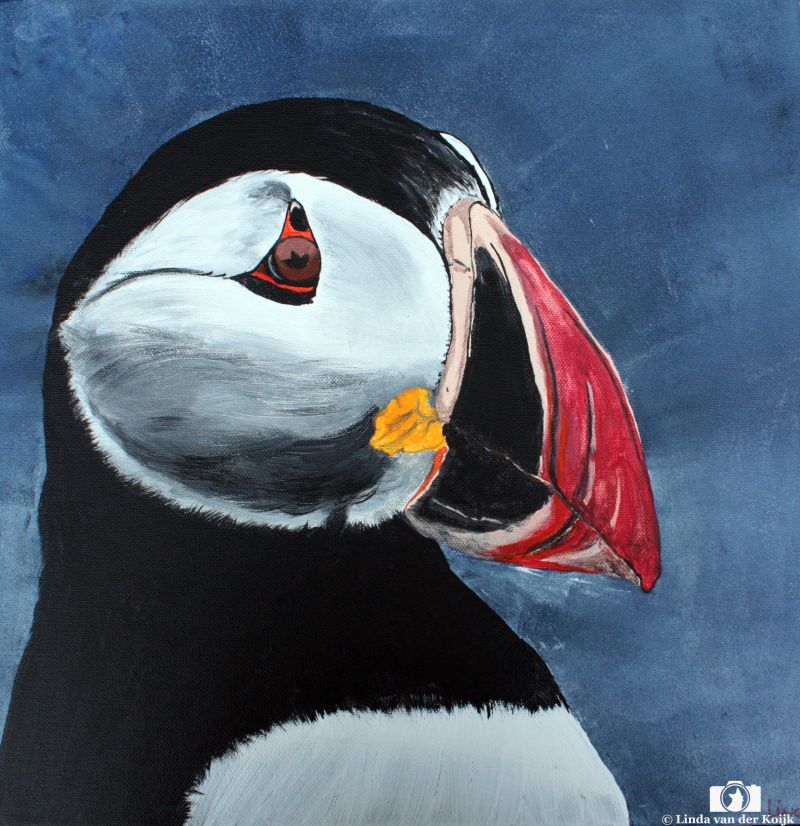 Puffin 1 Acryl on Canvas 40 x 40