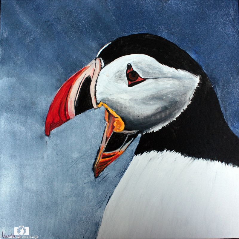 Puffin 2 Acryl on Canvas 40 x 40
