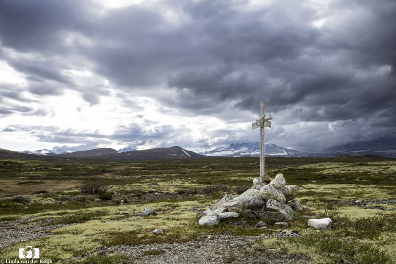 Dovrefjell-Sunndalsfjella Nasjonalpark 3