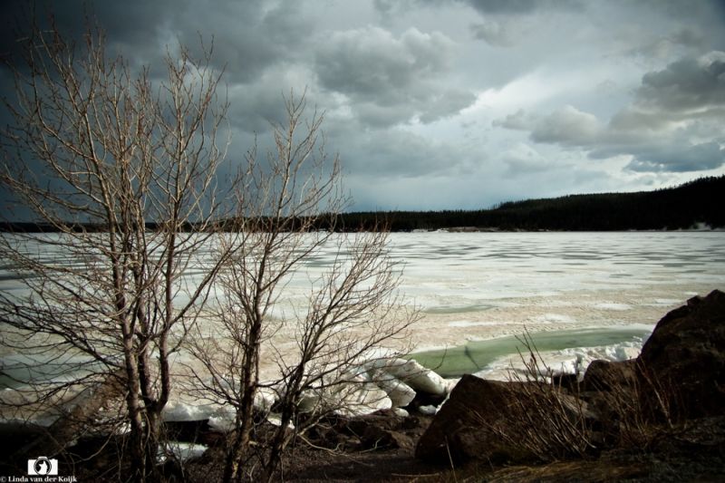 Yellowstone