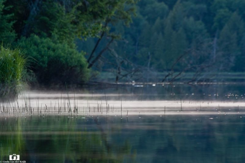 Algonquin Provincial Park 2