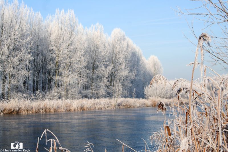 Simonshaven