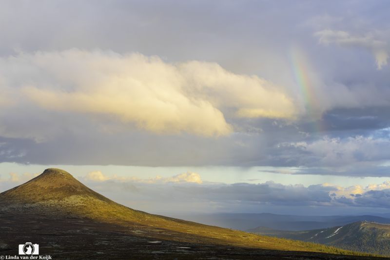 Near Sunset At Nipfjället, Sweden