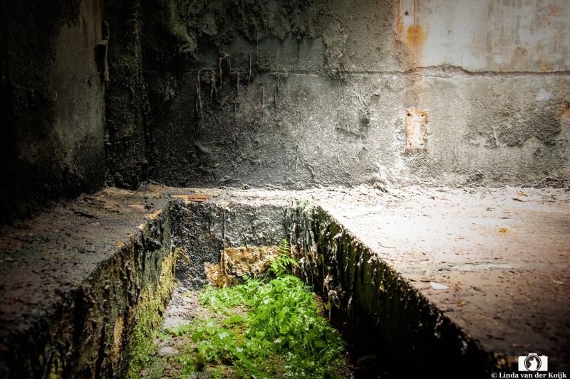 Urbex 2 24